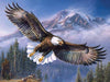 Flying Eagle-DIY Diamond Painting