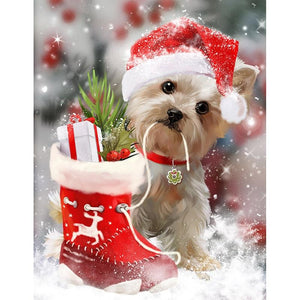 Christmas Gift Dog