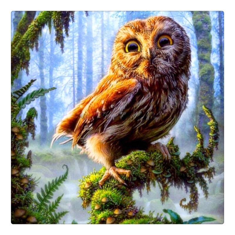 Owl Vision-5D DIY Diamond Painting , Diamond Painting kit