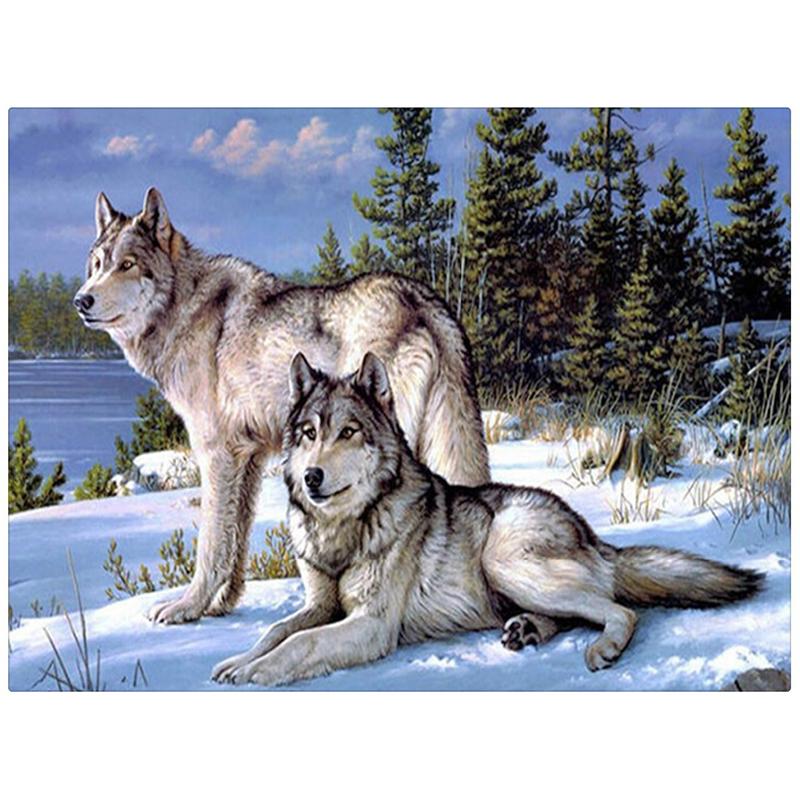 Lonely Wolf Couple-5D DIY Diamond Painting , Diamond Painting kit