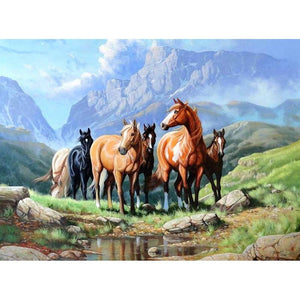 Wild Horses-5D DIY Diamond Painting , Diamond Painting kit