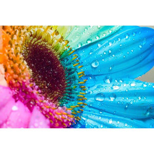 Rainbow Sunflower-5D DIY Diamond Painting , Diamond Painting kit