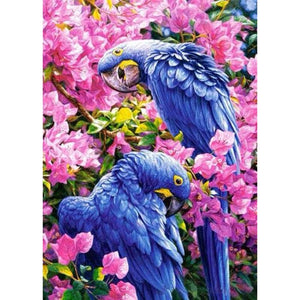 Blue Parrots-5D DIY Diamond Painting , Diamond Painting kit
