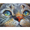 Cat Face-5D DIY Diamond Painting , Diamond Painting kit